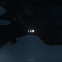 17535231381220.mp4