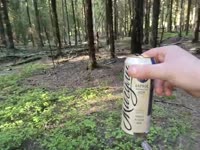17160433894280.mp4