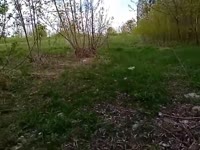 17286364324150.mp4