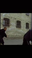 17530988786820.mp4