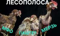 1703704029172.jpg