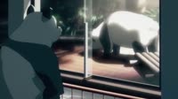 14627968356532.mp4