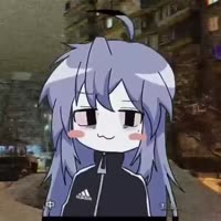17434421090860.mp4