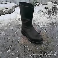 17490195162640.mp4
