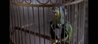025090235906.mp4
