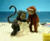 Обезьяна2.webm