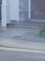 675675685.webm