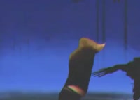 17416075807012.mp4