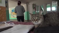 17407427671860.mp4