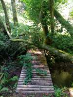 IMG20250819121716.jpg
