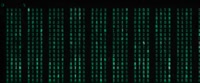 17380133642261.webm