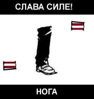 Нога.jpg