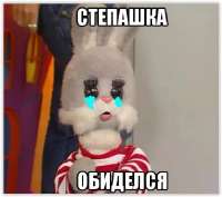 Степашь.png