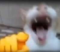 17868274945370591274.jpg