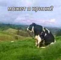 IMG20250820173431797.jpg
