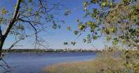 IMG20240520172422s.jpg