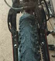 IMG20250517062153~2.jpg
