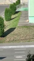 17405113619830.webm