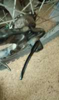 IMG20250520135830~2.jpg