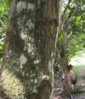 Who are we hiding from？ [s8xfn6qhx19f1].mp4