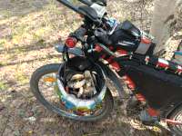 IMG20250728134318.jpg