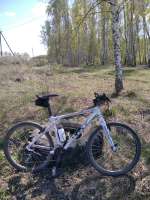 IMG20250428134628.jpg
