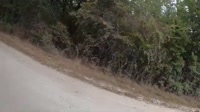 Dog Attacks Amputee Cyclist Aaron Smith in Callisburg, TX on 9192023..mp4