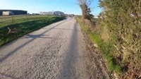 Dog Attacks Amputee Cyclist Aaron Smith in middle of public road near Gainesville, TX. 3252024.mp4