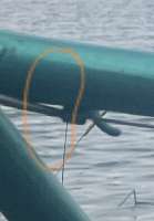 IMG20250721171743.jpg