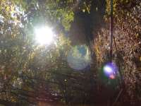 DSC04202.JPG