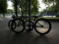 IMG4075.jpeg