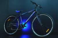 7517047497.webp
