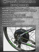 2.webp