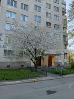 IMG20250512184513.jpg