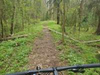 1590713846692.webp