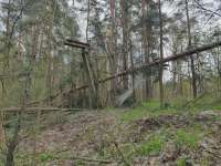 1634459293167.webp
