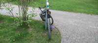 IMG20250513210541.jpg