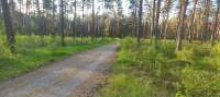 IMG20250513193049.jpg