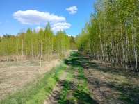 IMG20250517162421.jpg