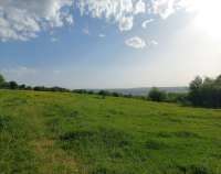 JPG409810.jpg