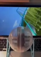 1695557482264334489f3e2dfb8352x480.mp4