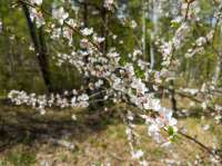IMG20250520134026.jpg