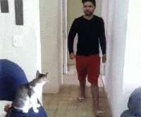 1747942024574.gif