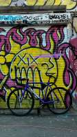 IMG7869.jpeg
