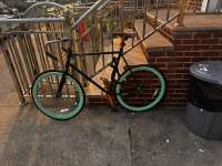 IMG3433.jpeg