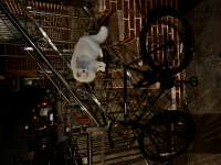 IMG2402.jpeg