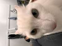IMG2359.jpeg