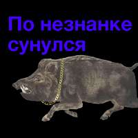 10939508.png