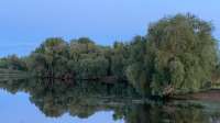 IMG7047.jpg