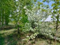 IMG20250526140919.jpg